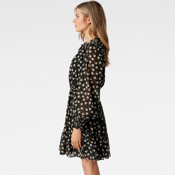 Ever New Hunter Tiered Skater Dress Size 4 - Picture 3 of 13